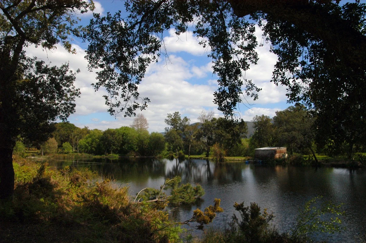 Paisagem exterior da Arrábida