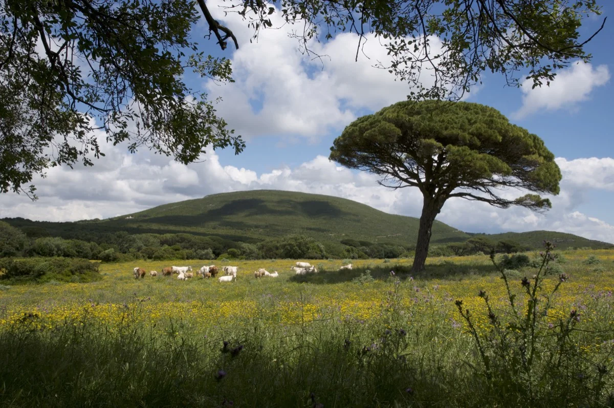 Paisagem exterior da Arrábida