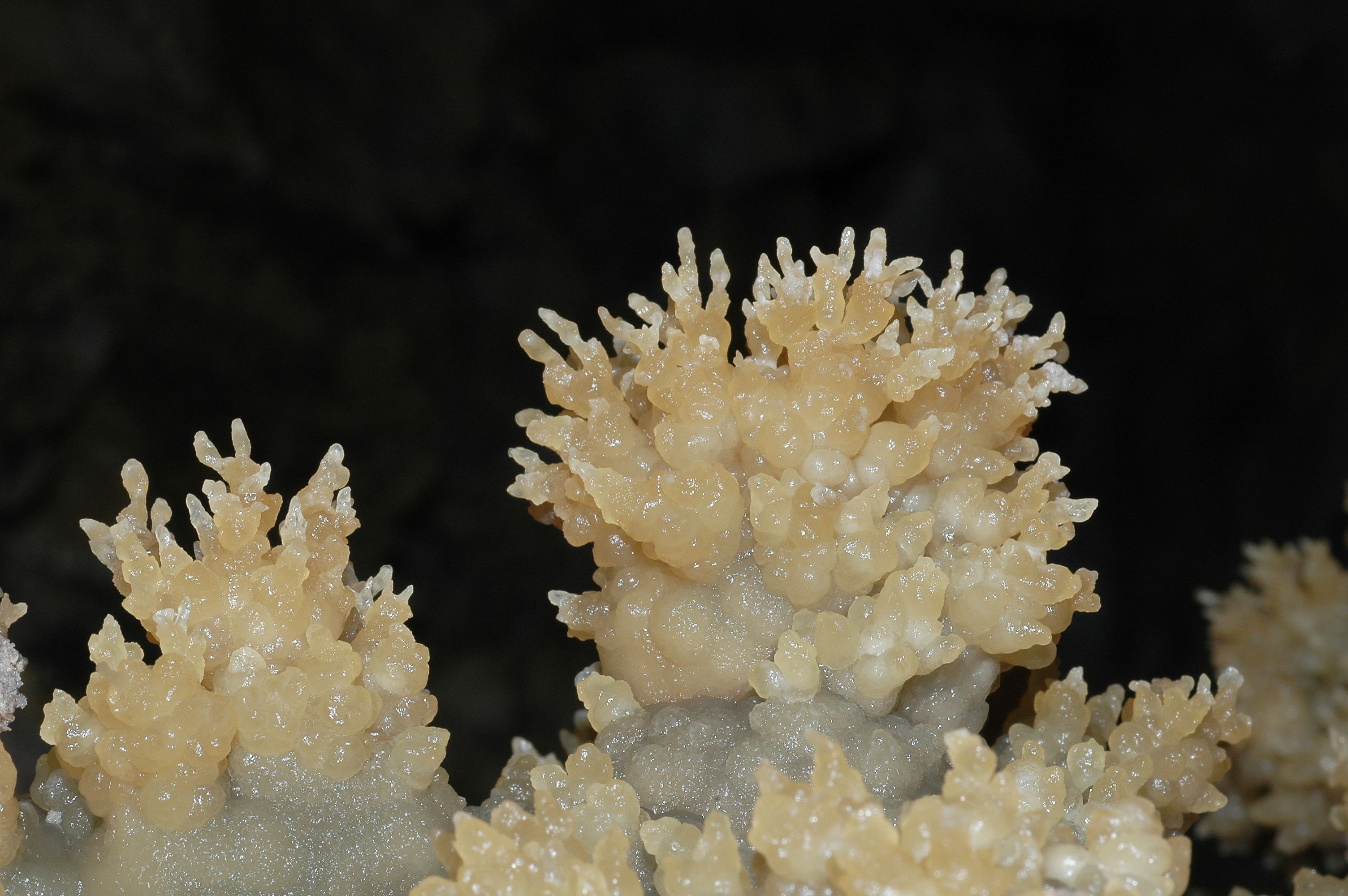 Gruta da Utopia - Vista 2