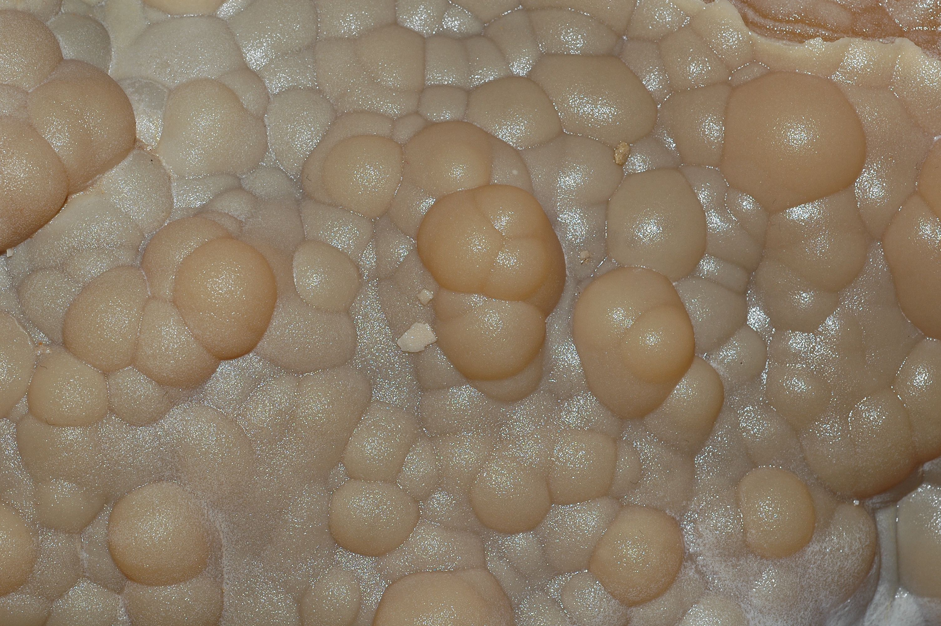 Gruta da Utopia - Vista 3