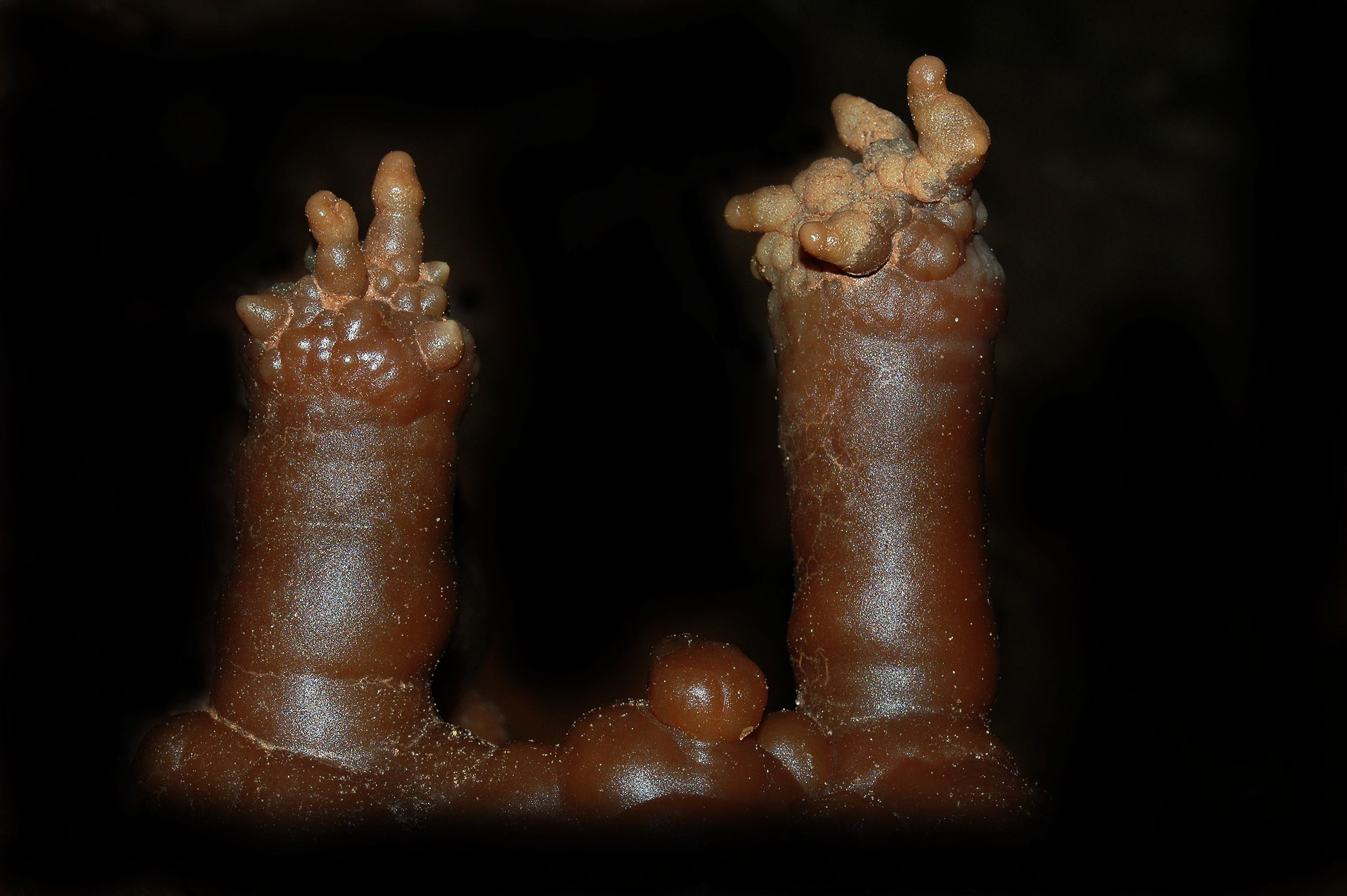 Gruta da Utopia - Vista 4