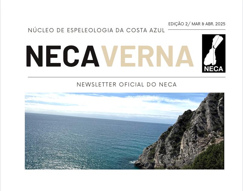 Revista Bimensal NECA